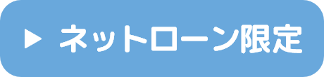 ネットローン限定